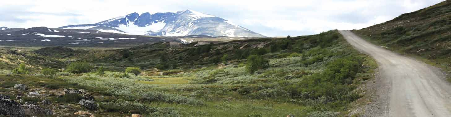 Snøheimvegen. Foto: Vegard Gundersen Verdivurderinger av landskapet Naturressursene på Dovrefjell har i 9000 år blitt høstet, først gjennom jakt og fangst, seinere gjennom landbruk.