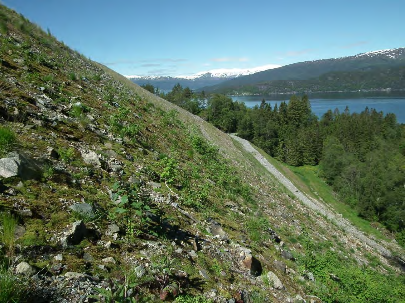 Steinsprang og snøskred i fyllingen Fyllingen som er etablert har den lengste og høyeste siden mot nord (Figur 5).