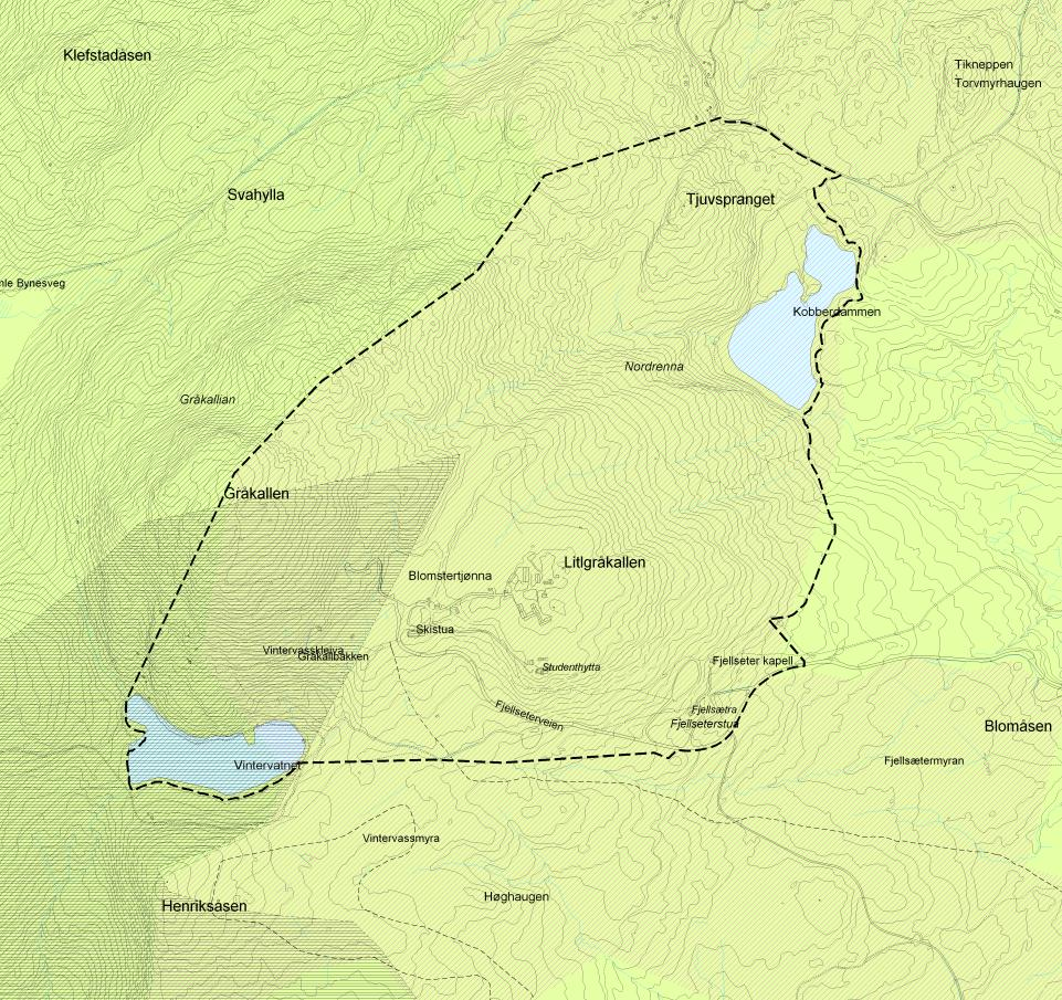 1 Innledning Trondheim kommune har vedtatt oppstart av regulering av området Litlgråkallen-Kobberdammen- Fjellsætra.