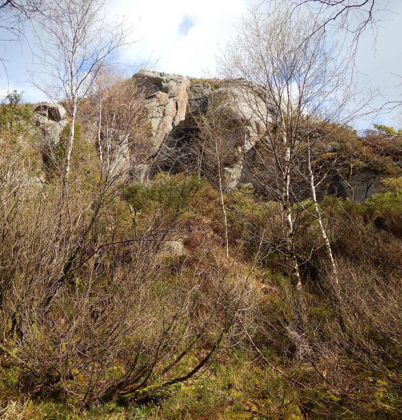 Møgedalsvannet hyttefelt Foto 4: Bilde fra lokalitet 3.