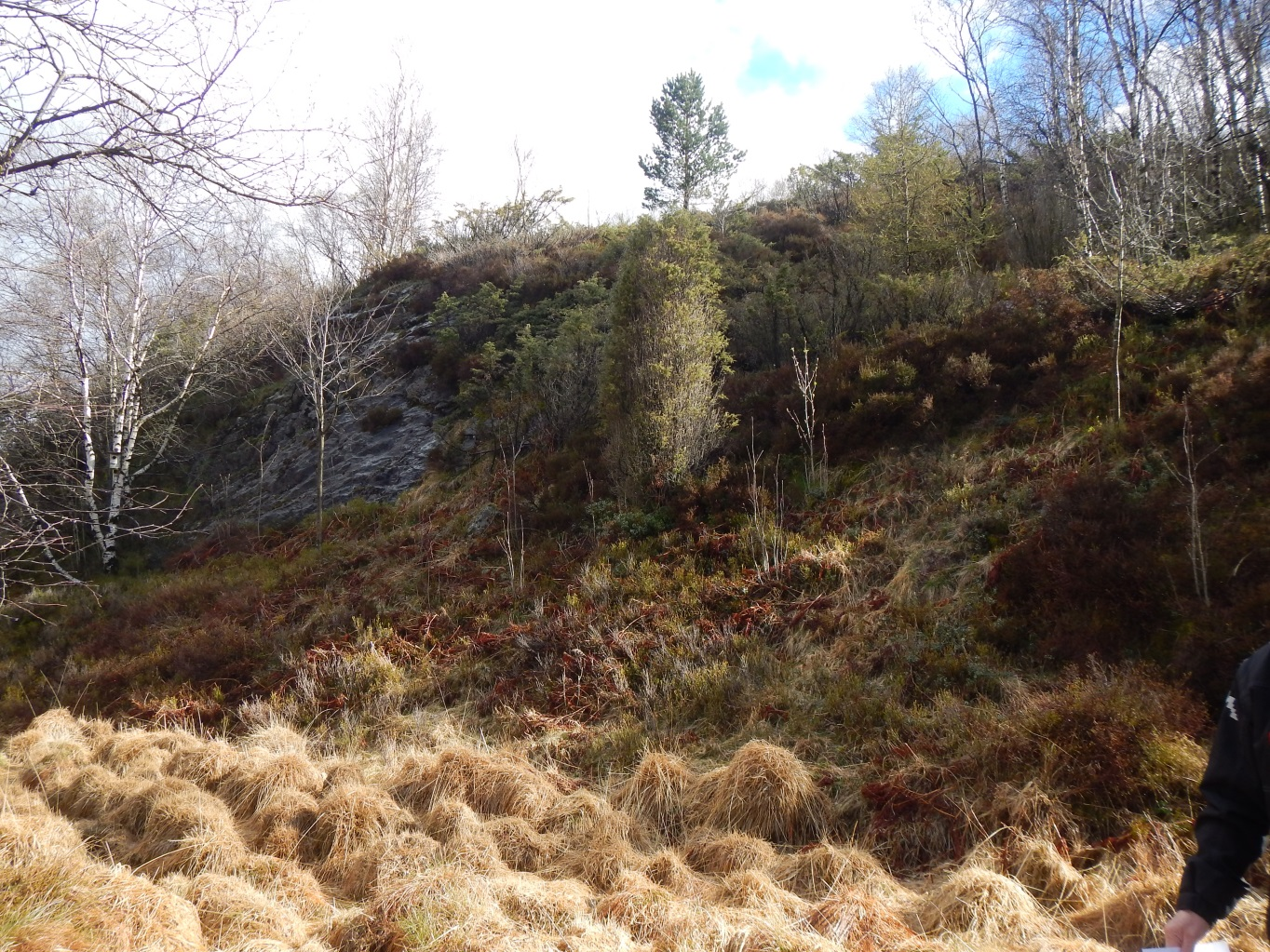 Møgedalsvannet hyttefelt Foto 1: Område ved lokalitet 1. 5.2.2 Lokalitet 2 Ved lokalitet 2 er det to hyttetomter (nr. 52 og nr. 54) som ligger inntil en naturlig bergskråning.