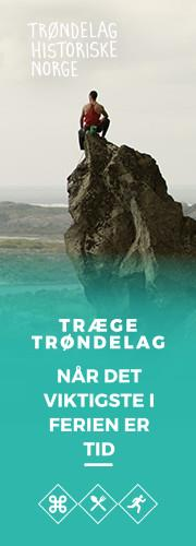 Norgeskampanjen har som målsetting å bygge kunnskap og kjennskap samt utløse konkret salg, og gi den norske turisten mange gode grunner til å velge Trøndelag, trønderske regioner og produkter for