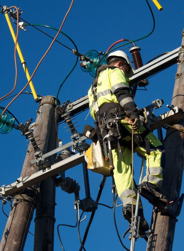 NPD Kjernevirksomhet Bygge og drifte linje-, kabel-, nettstasjons- og trafoanlegg for distribusjon av høyspent og lavspent fra 0,24-36 kv Kompetanseområder Vakt og