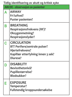 systematisk undersøkelse av en akutt syk pasient etter ABCDE