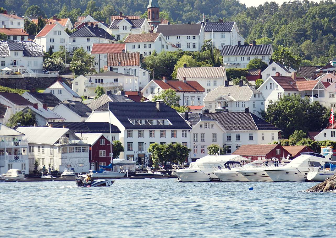 6 UTVIKLING AV HAVNEOMRÅDET, GJESTEHAVN, AKTIVITETER I