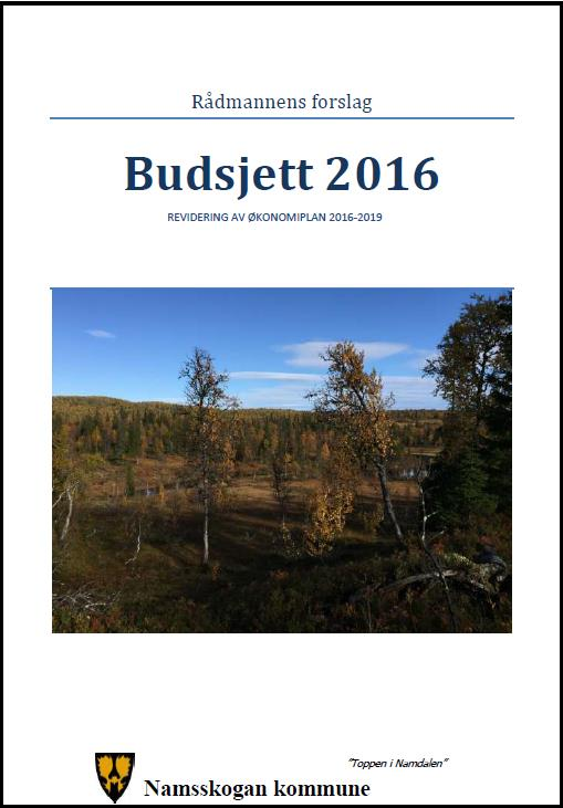 Rådmannens forslag Budsjett 2016