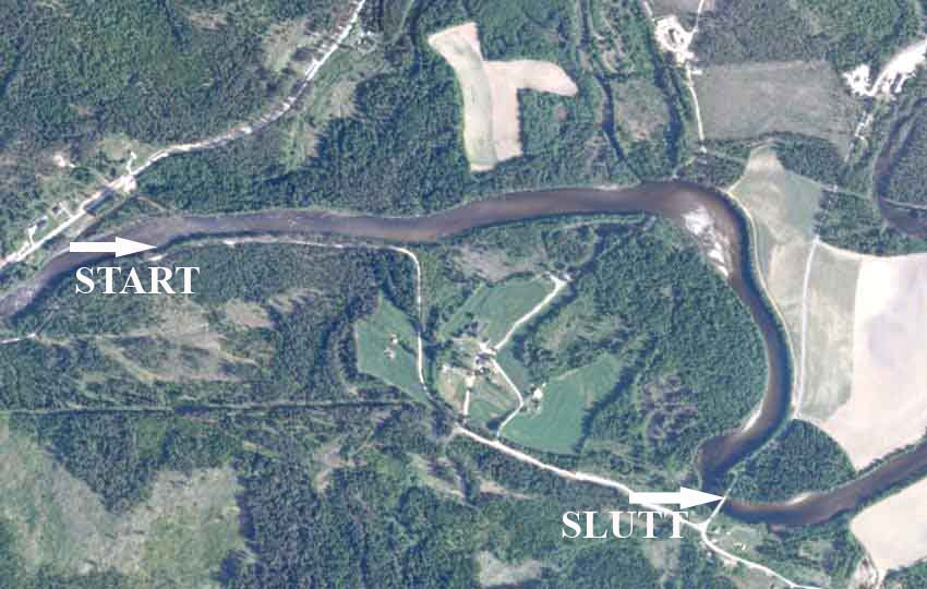 Fint habitat for elvemusling, spesielt nedenfor grunnstryket hvor det var god mosaikk av stein, grus og sand.