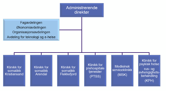 Figur 13 Klinikker og stabsavdelinger ved SSHF (1.1.2017) Klinikk for somatikk Flekkefjord består av medisinsk-og kirurgisk avdeling.