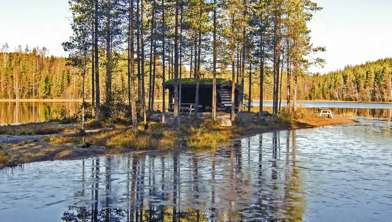 Iskald novembermorgen ved Stavåsdammen. Elverum ble by 30. november 1996; for 21 år siden i år.