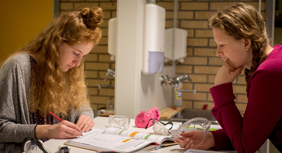 4. Kvalitet i pplæringen I liersklen har vi høye ambisjner på egne g elevenes vegne. Vi skal levere en pplæring av beste kvalitet gjennm sammen å bygge kapasitet g prfesjnalitet.