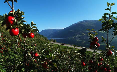 Nasjonale turistvegar 22.