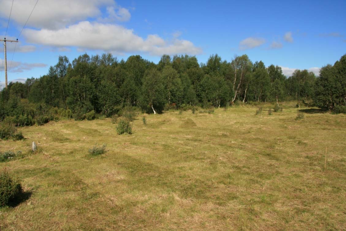 Felt 1, etter slått og raking Felt 1, etter slått og raking Forslag til skjøtsel.