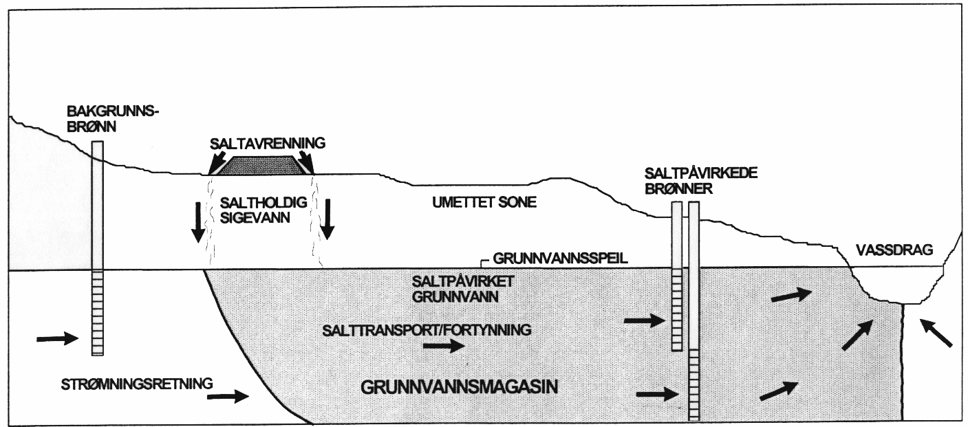 Figur 18. Prinsippskisse som viser saltavrenning til grunnvann, strømning og brønner for vannprøvetaking. 2.1.4 Resultater Registrert saltforbruk i perioden 1998 21 er sammenstilt i tabell 1.