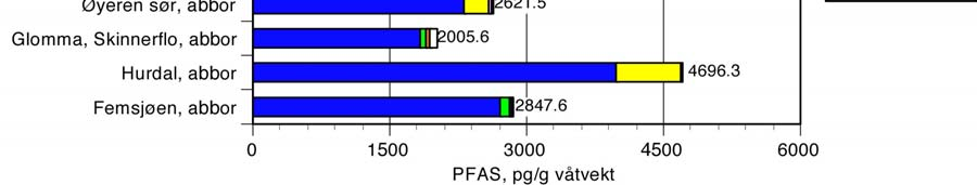 perfluoralkylstoffer(pfas) i fisk og