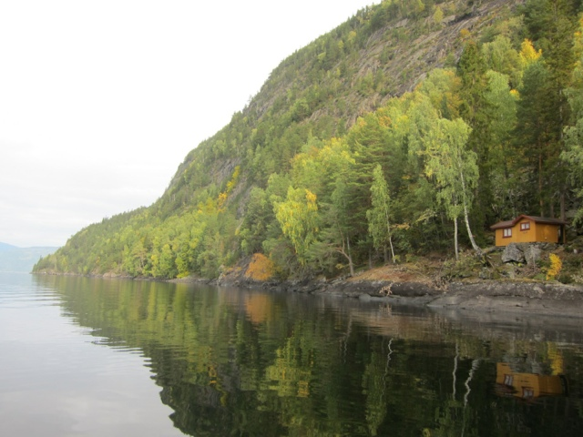 borealt- og edelløv.