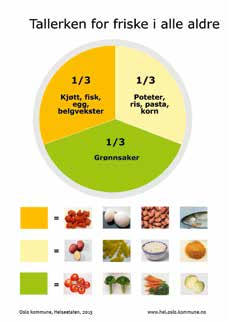 HELSEETATEN I OSLO KOMMUNE Figur1: Helseetaten har opprettet flere nettsider og utviklet materiell om ernæring for ulike tjenesteområder i kommunen.