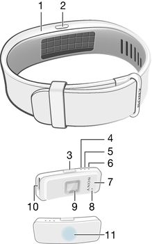 Grunnleggende Innledning SmartBand 2 er et hjelpeprodukt som tilkobles trådløst via Bluetooth med Android enheter.