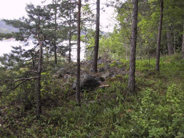 Det er særlig deres beliggenhet, lengst ut mot en brattkant, som taler for at dette er gravrøyser. Type Gravrøyser 3 F1 Gravrøys Antall Mål: Nord-sør 4,5 meter x øst-vest 4 meter, høyde 0,7 meter.