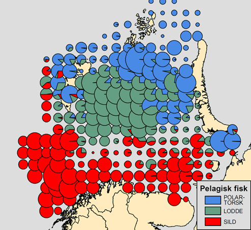 Det er et bredt tilbud av mat fra ørsmå hoppekreps, større krepsdyr som krill og amfipoder, ulike fiskeyngel, lodde, polartorsk, sil (tobis) og ungsild.