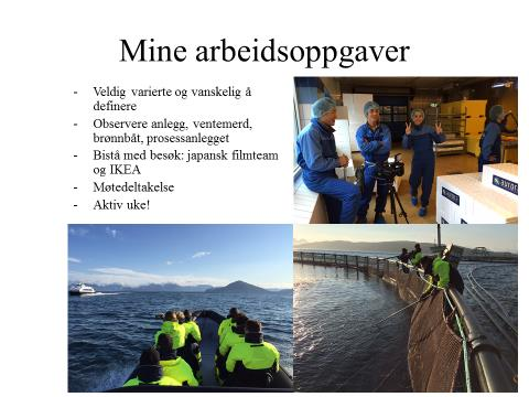 Etter første praksisuke: Muntlig og