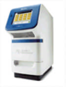 Innstøpt i Technovit Snittet 1 μm Transmissions elektron mikroskopi Kvantitativ PCR Tre separate Assayer Total