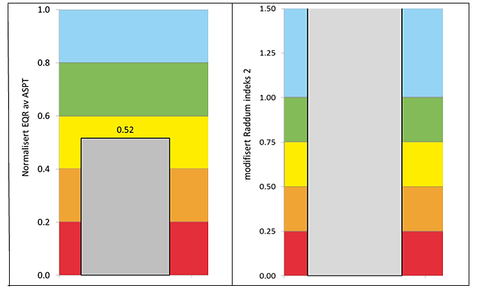 Svært god God Moderat Dårlig Svært dårlig Figur 6. Logsvanns bekken. Til venstre: Økologisk tilstand karakterisert vha. normaliserte EQR verdier av ASPT og til høyre: Raddum II - forsuringsindeks.