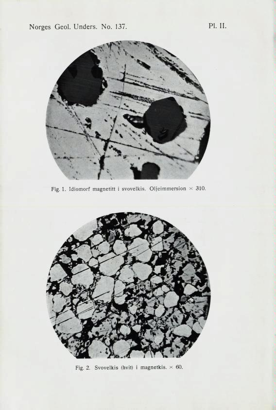 Norges Geol. Unders. No. 137. PI. 11. Fig. 1. I6iomors magnetitt i svovelkis.
