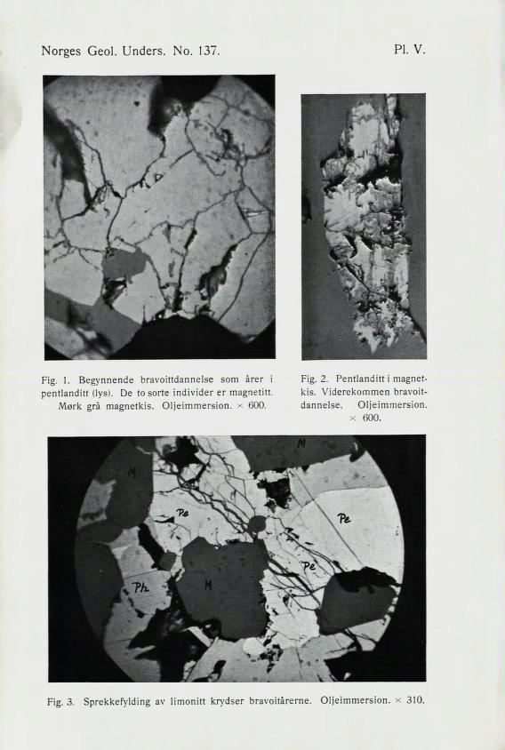Norges Geol. Unders. No. 137.?I. v. Fig. 1. Begynnende bravoittdannelse som årer i Fig. 2. Pentlanditt i magnet pentlanditt (lys). De to sorte individer er magnetitt. kis.