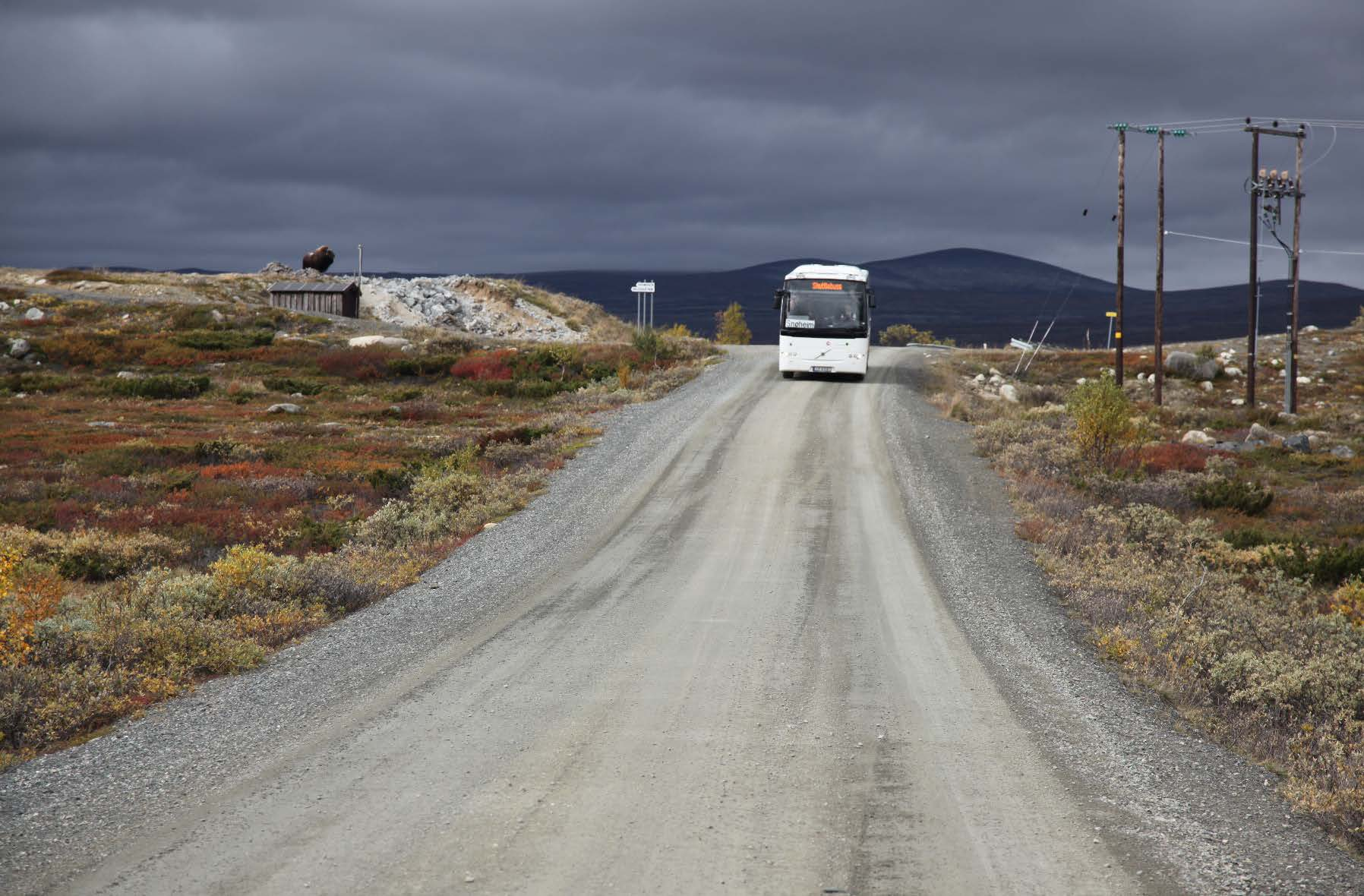 1313 Kunnskapsgrunnlag om ulike scenarier for Snøheimvegen Effekter på villrein, ferdsel og lokalsamfunn etter åtte