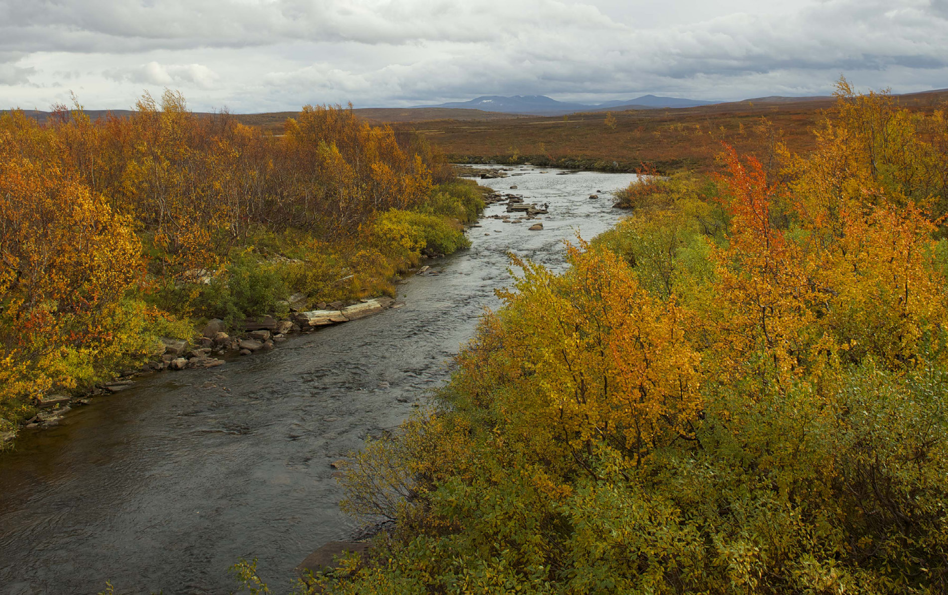 Konseptvalgutredning Kraftsystemet i Finnmark, analyse av behov og tiltak etter 2020 Fotograf: Johan Wildhagen Vi tar utgangspunkt i 420 kv som spenningsnivå for ledningene i K1 og K2.