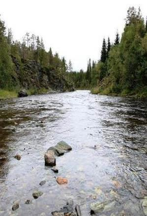 Vi har gjennomført elektrofiske og fysisk habitatvurdering i flere sidevassdrag og lagt dette til grunn for vurdering av påvirkning på fisk, samt potensial for avbøtende tiltak.