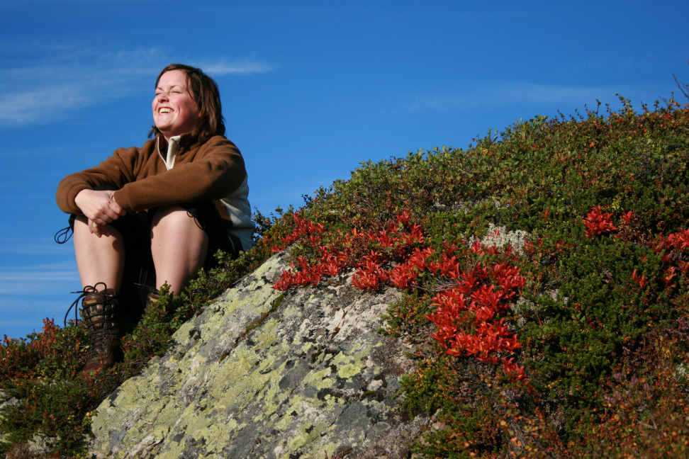 april 2007, å utarbeide en plan for en helhetlig forvaltning av fjellområder som er spesielt viktige for villreinens framtid i Norge fastsette langsiktig arealforvaltning som balanserer bruk og vern