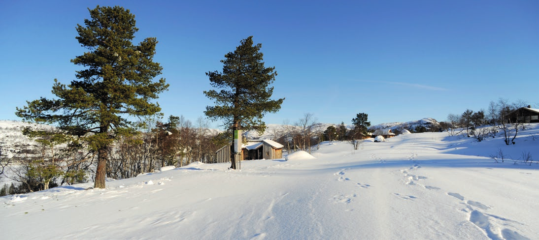 Sjelden mulighet Tomt S8 er en stor mulighet for deg som har lyst å være med og planlegge hytten din.