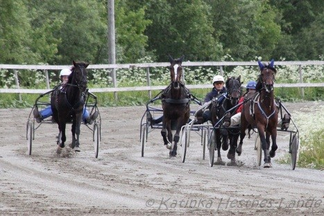 St. Hansfeiring på Skoglund