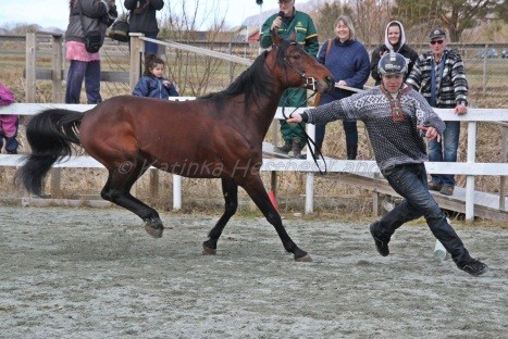 Agility-mesteren.