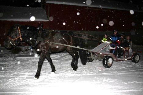 Aktivitetsgruppa har totalt hatt 245 deltagende ekvipasjer deltagere på sine arrangementer i 2012. Økonomi.