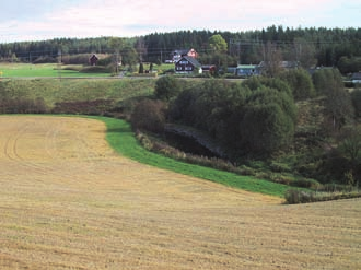 og standardavvik for prosentvis fjerning av total nitrogen og nitrat (NO 3 - ) i kolonner med ulik vegetasjon og ved ulike årstider. Modifisert fra Søvik og Syversen (2007).