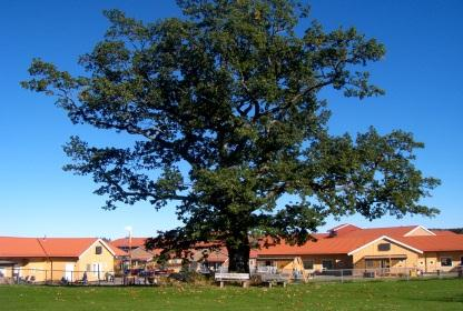 kommunen om at UMB kan bruke inntil 10 barnehageplasser til sine 1. årsstudenter i kommunens barnehager.