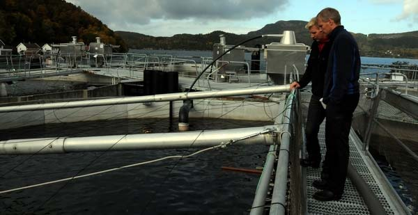 FISTER SMOLT AS Settefiskanlegget på Fister (regnr R/HM 0004 lokalitetsnummer 10581 Fister) har hatt konsesjon siden 9. juni 1976.