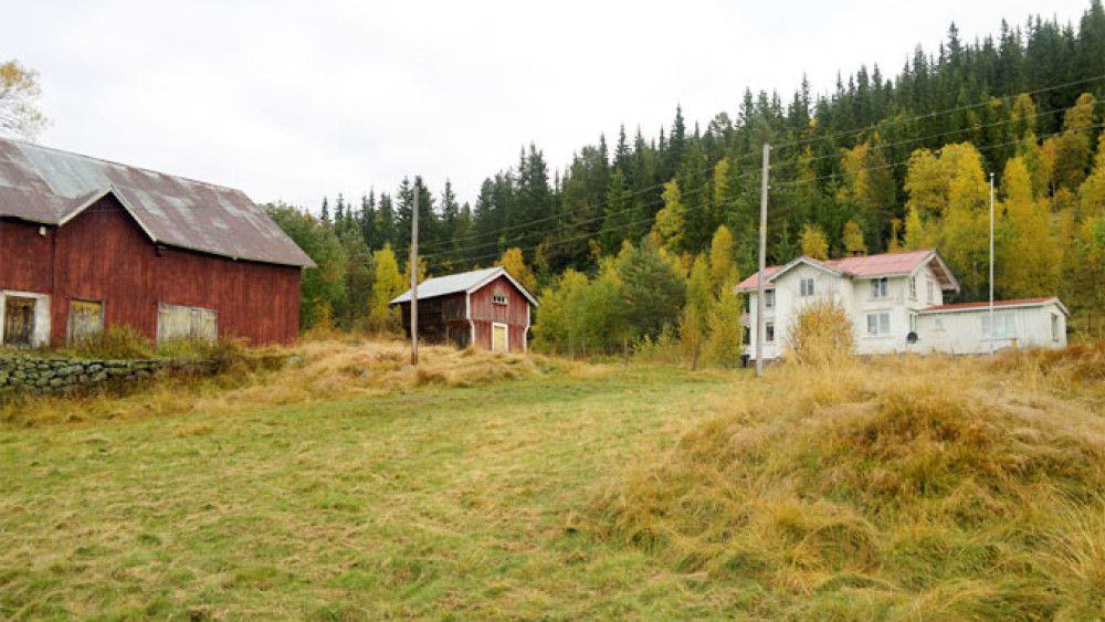 Fikk gårdsarv av pasient lege fikk kraftig advarsel tv2.no/a/3885721 STRIDENS KJERNE: Dette gårdsbruket i Høydalsmo i Telemark skulle legen og kona arve ifølge pasientens testament.