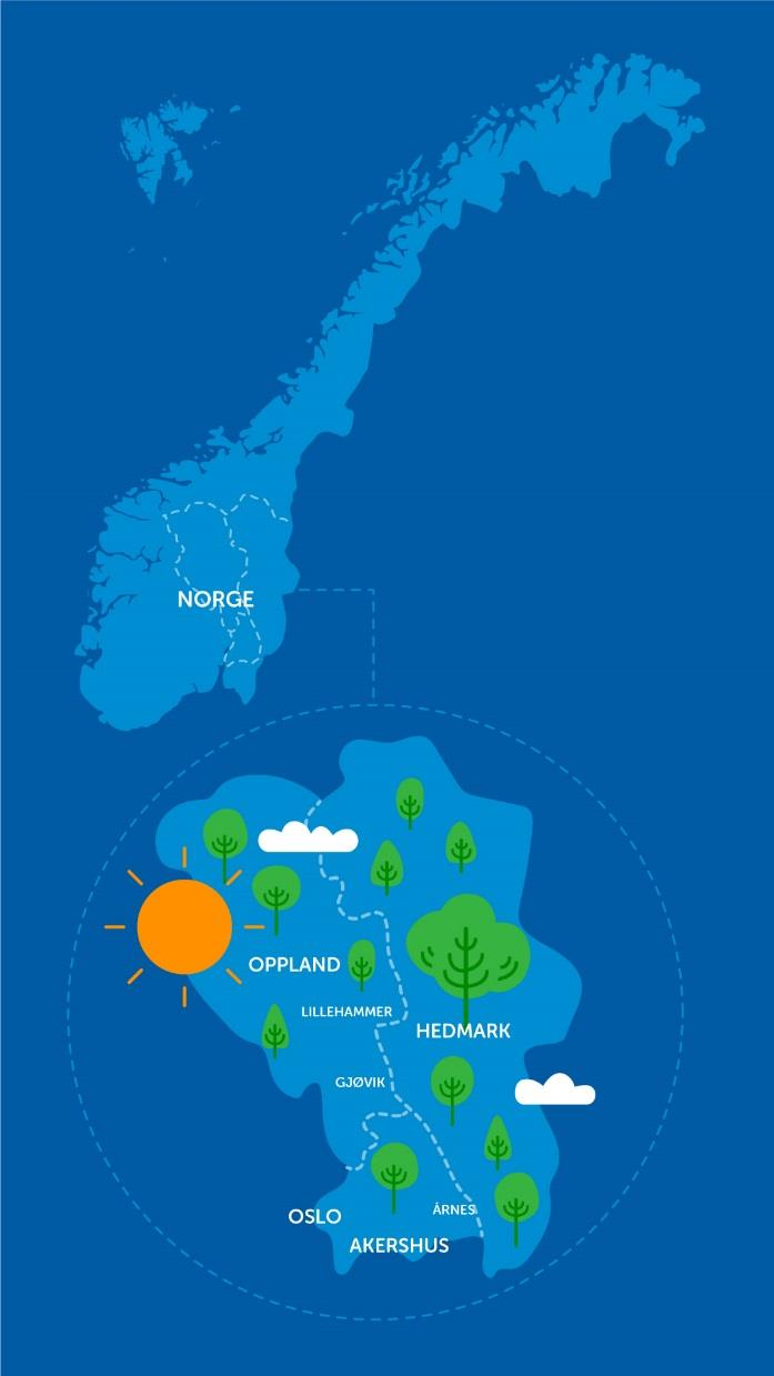 Nye Sparebanken Hedmark Norges fjerde største sparebank, etablert i 1845. Markedsområde i Hedmark, Oppland, Oslo og Akershus med 1,7 mill. innbyggere. Hovedkontor på Hamar.