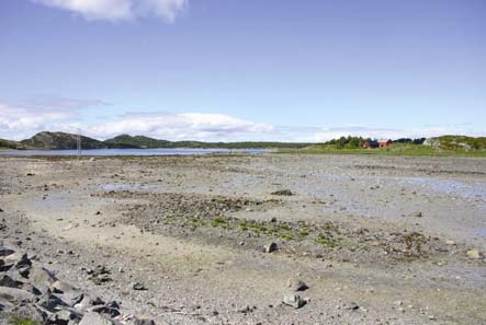 vei som bygges i forbindelse med tunnelen, ved ny vei ut om Kråkvåg og i Kråkvåg havn.