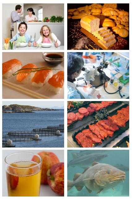 Forskningsområder Akvakultur Avl og genetikk Ernæring og fôrteknologi Fiskehelse Produksjonsbiologi BioLab Fiskeri, industri og marked Forbruker og marked Næring