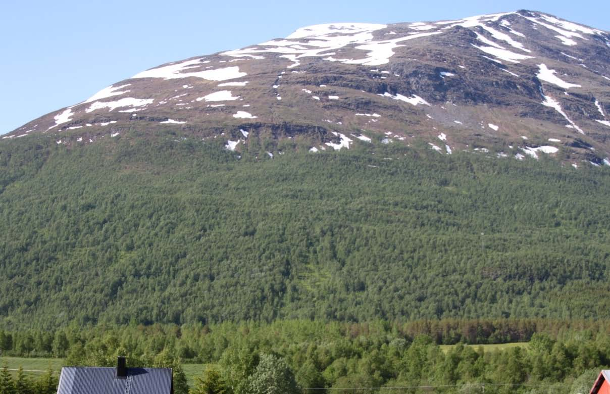 Side: 21 Figur 15 Fjellsida under den nordøstre delen av Halvorsfjellet kan gi opphav til mindre snøskred med begrenset rekkevidde.