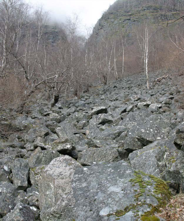 Toppen av ryggen er smal, et par hundre meter bred på det meste, og går over i Frondalen mot nord.