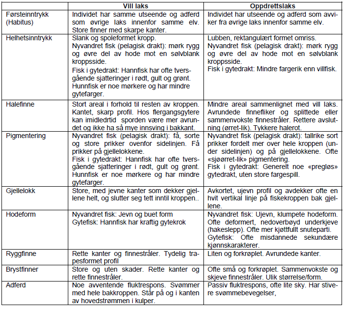 Innsig av sjøørret > 1 kg (N) Ferskvannsbiologen Rapport 216-5 Vedlegg Vedlegg 1 Oversikt over forskjeller mellom villaks og oppdrettslaks som blir vektlagt under