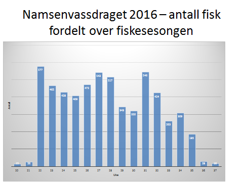 Figur 4. Totalfangst fordelt på ukenummer.