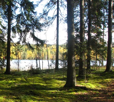 Varsjøen ligger øst for Glomma, på grensen mellom kommunene Fet og Sørum. Nedbørsfeltet er preget av barskog, og ligger på sure grunnfjellsbergarter.