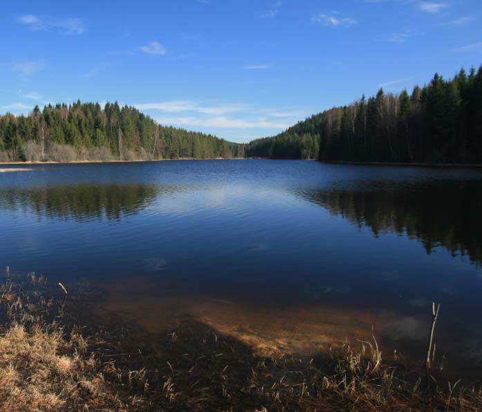 Moseby Vannforekomsten Heia ligger øst for Glomma, i Fet kommune. Nedbørsfeltet er preget av barskog og sure grunnfjellsbergarter, med noe landbruk og fritidsboliger.