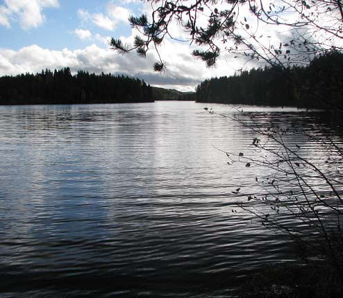 Dragsjøen ligger fire km sør for Årnes i Nes kommune. Innsjøen er drikkevannskilde, og nedbørsfeltet er preget av barskog og kalkfattige grunnfjellsbergarter.